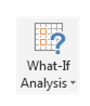 What If Analysis